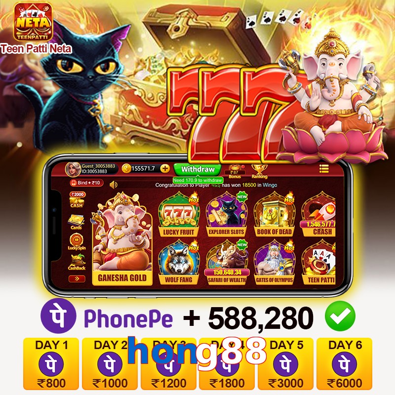 hong88