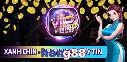 hong88