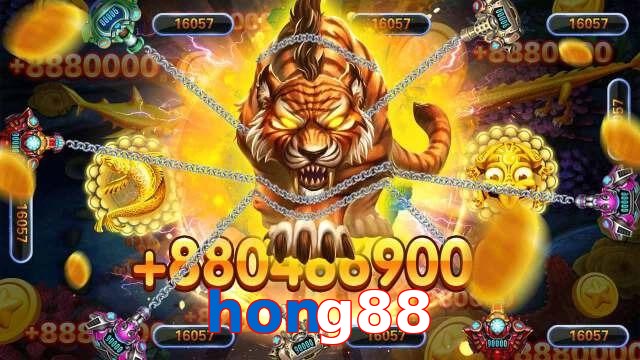 hong88