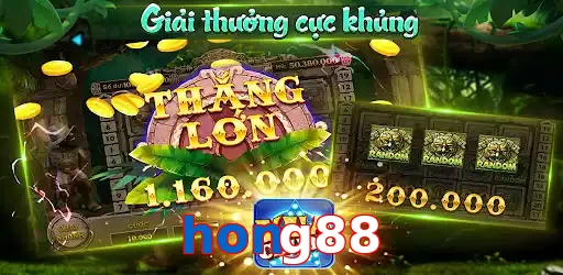 hong88